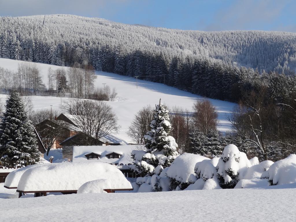 Pension Arnika เดชท์เน ออร์ลิซกี โฮราค ภายนอก รูปภาพ